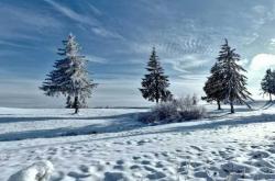 英雄联盟全球总决赛冠亚軍(jūn)决赛四川打響(xiǎng)