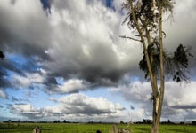 “浙BA”城市争霸(bà)赛揭(jiē)幕战打响