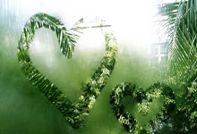 中國(guó)品牌首次组建“全球化冬奥战队”，TCL之队全球化冬奥战队阵容揭晓