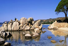 中國(guó)品牌首次组建“全球化冬奥战队”，TCL之队全球化冬奥战队阵容揭晓